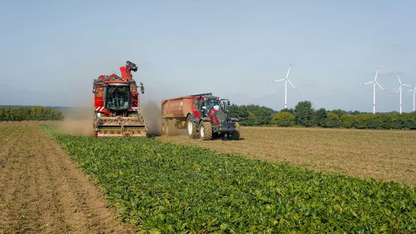 Les enjeux actuels de l'agroindustrie à considérer